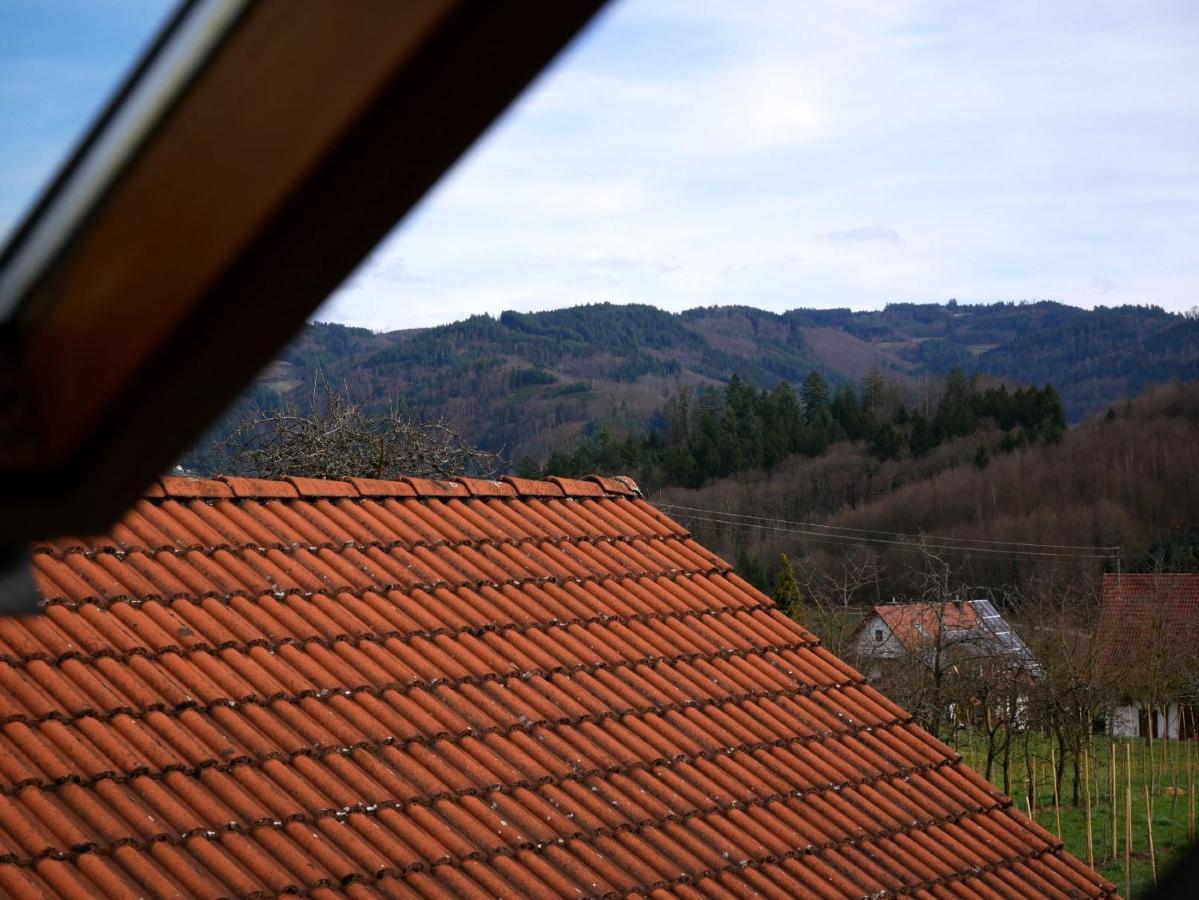 Ferienwohnung Obere Alm Oberkirch  Dış mekan fotoğraf